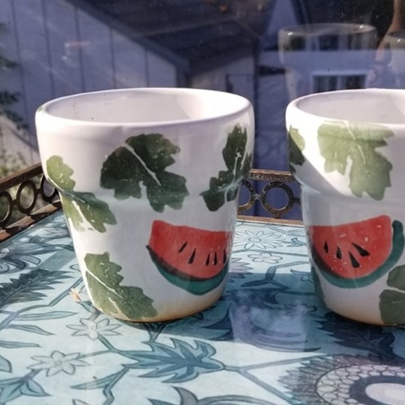 Other - Watermelon Succulent Pots or Votives